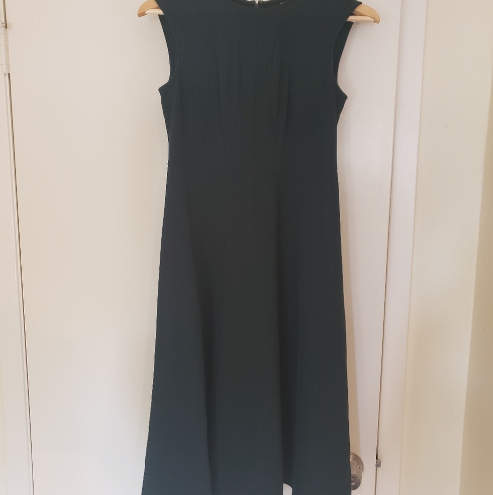 Ann Taylor Scoopneck Dress
